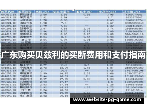 广东购买贝兹利的买断费用和支付指南