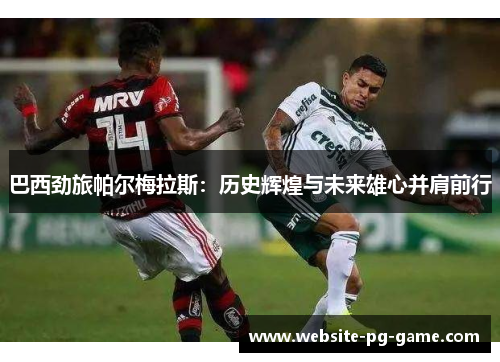 巴西劲旅帕尔梅拉斯：历史辉煌与未来雄心并肩前行