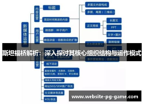 斯坦福桥解析：深入探讨其核心组织结构与运作模式