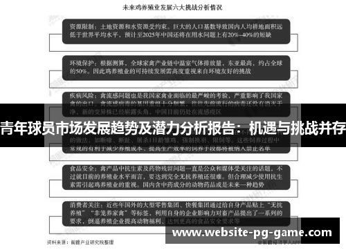 青年球员市场发展趋势及潜力分析报告:机遇与挑战并存