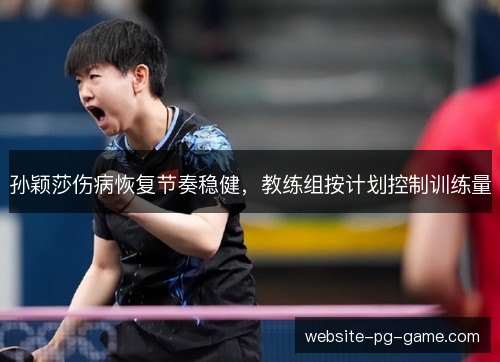 孙颖莎伤病恢复节奏稳健，教练组按计划控制训练量